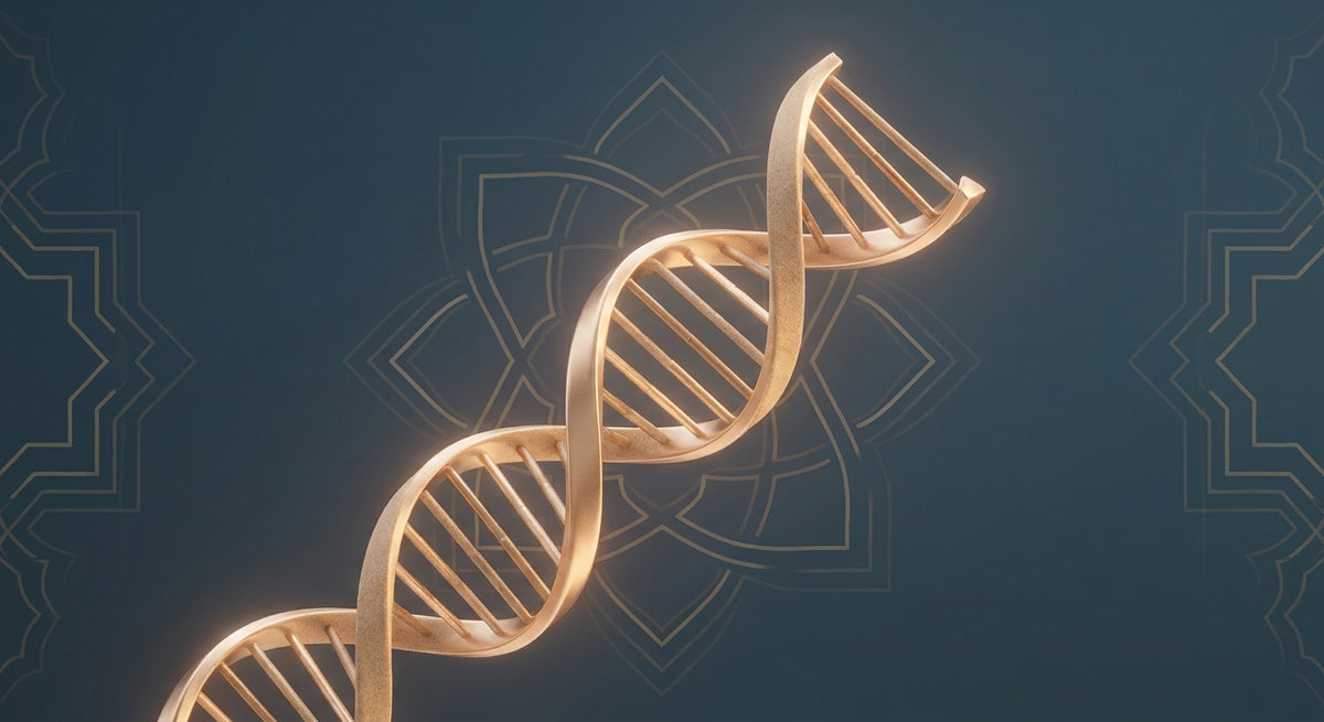 A glowing golden DNA helix set against a deep blue background with faint geometric Middle Eastern patterns, symbolising ancestry and genetic discovery in the UAE.